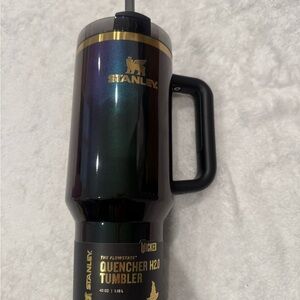 Stanley x Wicked for Good - Elphaba for Good 40oz